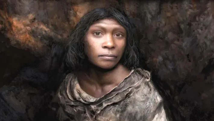 Homo antecessor: тонкий череп як ознака еволюції людини